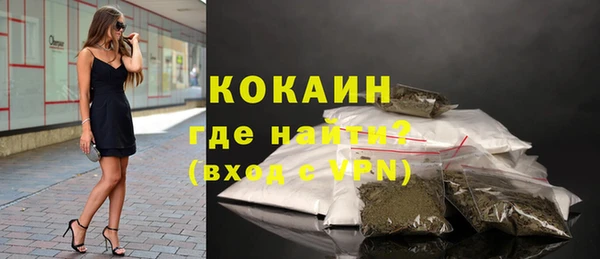 ГАЛЛЮЦИНОГЕННЫЕ ГРИБЫ Вяземский