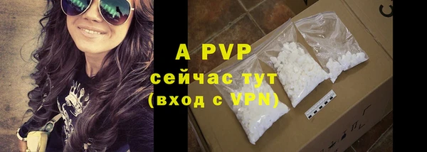 ГАЛЛЮЦИНОГЕННЫЕ ГРИБЫ Вяземский