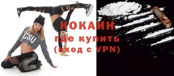 ГАЛЛЮЦИНОГЕННЫЕ ГРИБЫ Вяземский