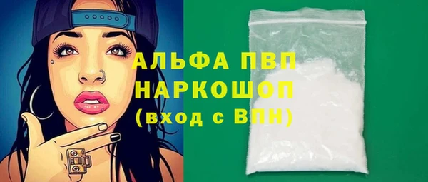ГАЛЛЮЦИНОГЕННЫЕ ГРИБЫ Вяземский