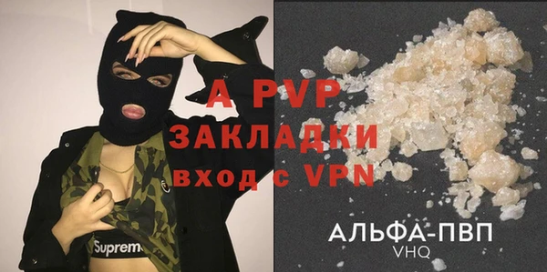 ГАЛЛЮЦИНОГЕННЫЕ ГРИБЫ Вяземский