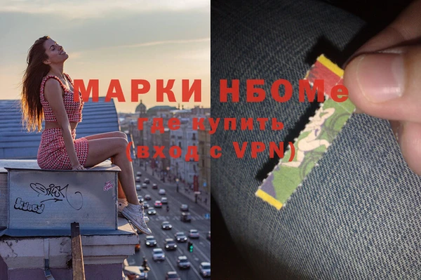 ГАЛЛЮЦИНОГЕННЫЕ ГРИБЫ Вяземский