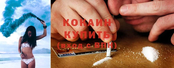 ГАЛЛЮЦИНОГЕННЫЕ ГРИБЫ Вяземский