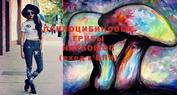 ГАЛЛЮЦИНОГЕННЫЕ ГРИБЫ Вяземский