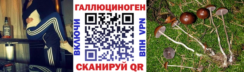 Псилоцибиновые грибы прущие грибы  Краснотурьинск 